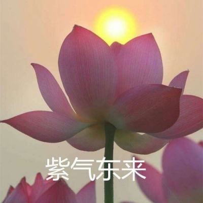 心动女友林依雯内购破解版下载